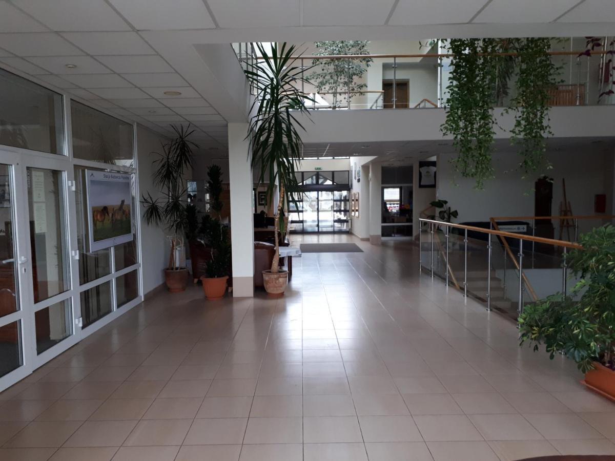 Pan Dom Pracy Tworczej W Wierzbie Wierzba Exterior photo